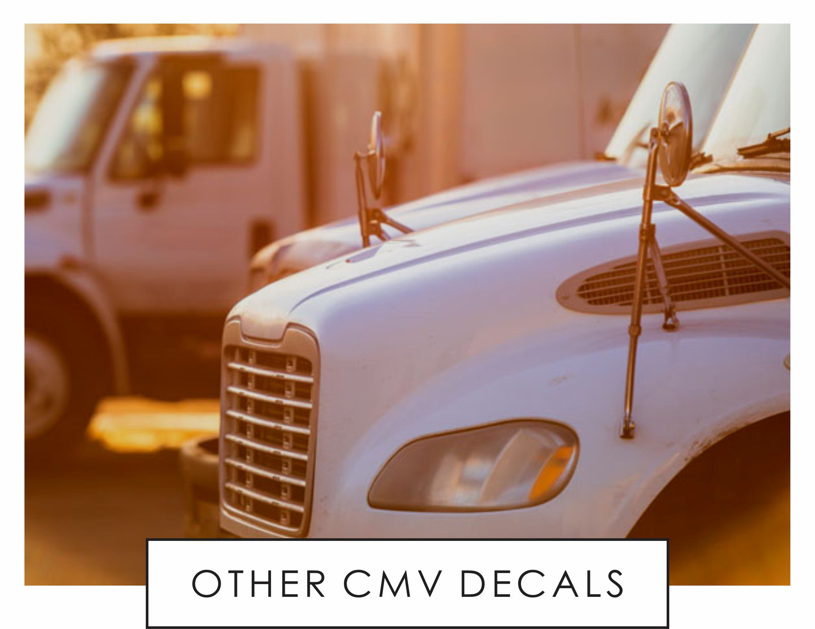 Cpv Sticker VM Fleet Commercial Decals – Vinyl Motif, LLC